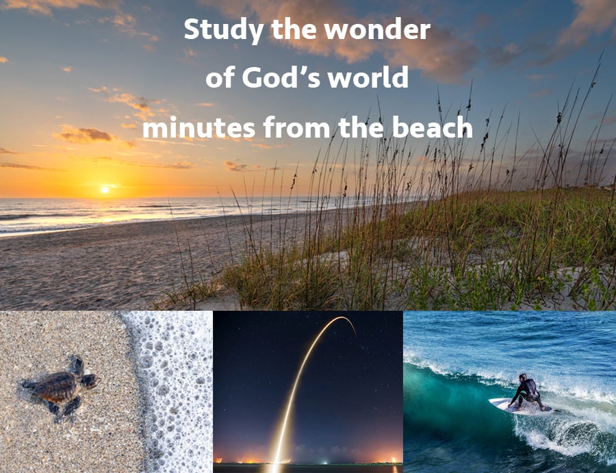 Study the wonder collage